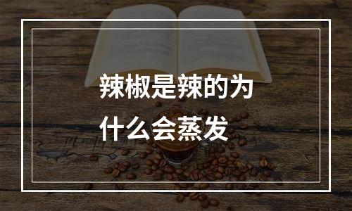 辣椒是辣的为什么会蒸发
