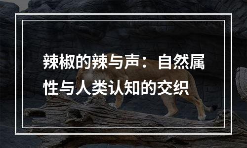 辣椒的辣与声：自然属性与人类认知的交织