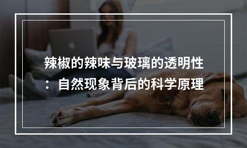 辣椒的辣味与玻璃的透明性：自然现象背后的科学原理