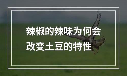 辣椒的辣味为何会改变土豆的特性