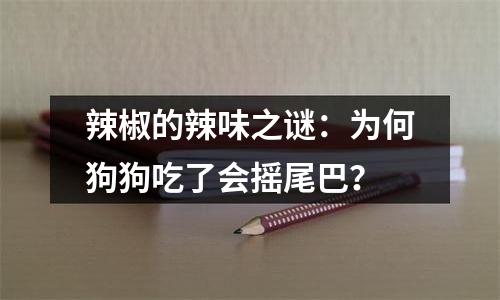 辣椒的辣味之谜：为何狗狗吃了会摇尾巴？