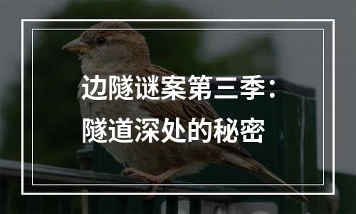 边隧谜案第三季：隧道深处的秘密