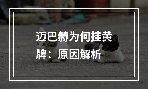 迈巴赫为何挂黄牌：原因解析