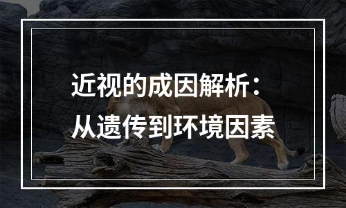 近视的成因解析：从遗传到环境因素