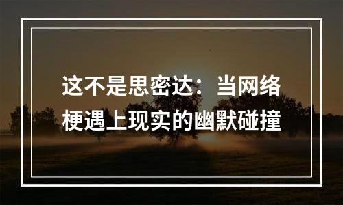 这不是思密达：当网络梗遇上现实的幽默碰撞