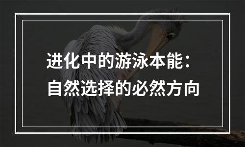 进化中的游泳本能：自然选择的必然方向