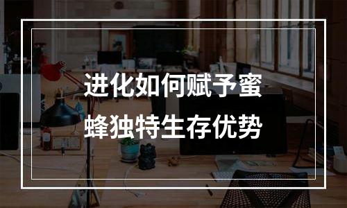 进化如何赋予蜜蜂独特生存优势