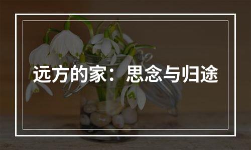 远方的家：思念与归途