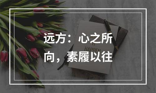 远方：心之所向，素履以往