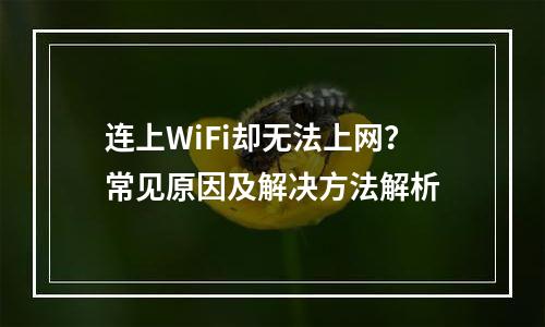 连上WiFi却无法上网？常见原因及解决方法解析