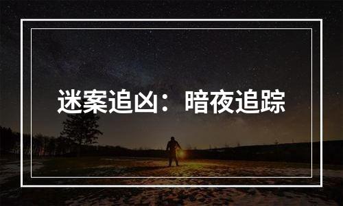 迷案追凶：暗夜追踪