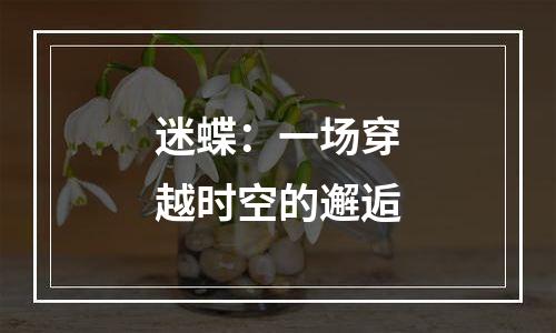 迷蝶：一场穿越时空的邂逅