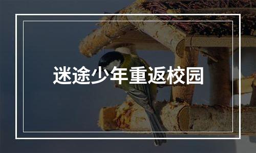 迷途少年重返校园