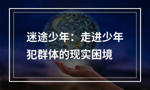 迷途少年：走进少年犯群体的现实困境