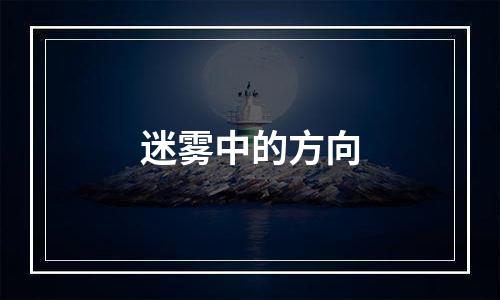 迷雾中的方向
