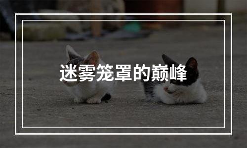 迷雾笼罩的巅峰