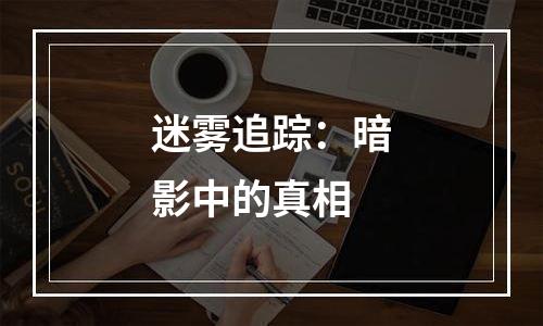 迷雾追踪：暗影中的真相