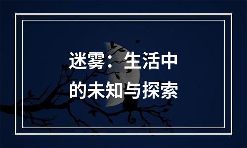 迷雾：生活中的未知与探索