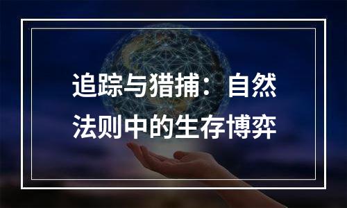 追踪与猎捕：自然法则中的生存博弈