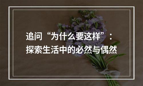 追问“为什么要这样”：探索生活中的必然与偶然