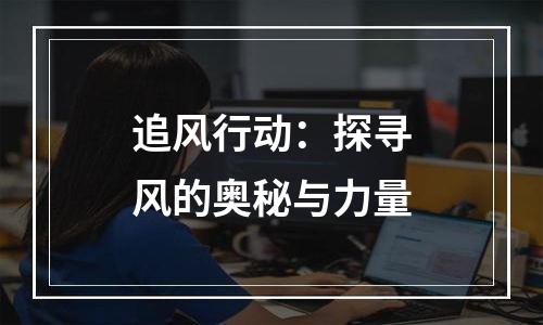 追风行动：探寻风的奥秘与力量