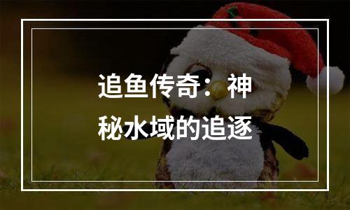 追鱼传奇：神秘水域的追逐