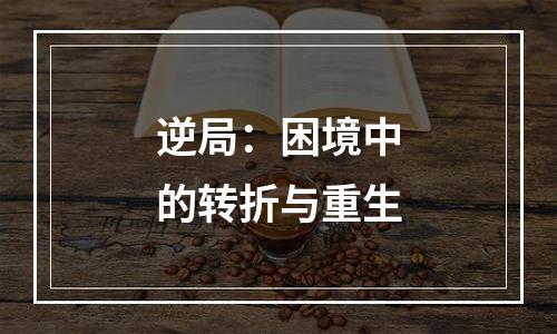 逆局：困境中的转折与重生