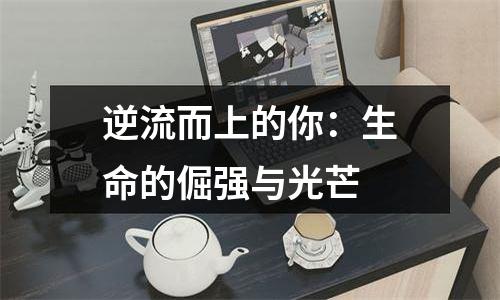 逆流而上的你：生命的倔强与光芒