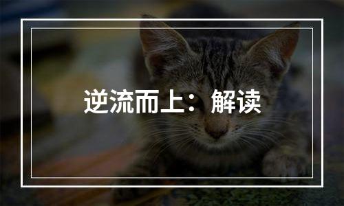 逆流而上：解读