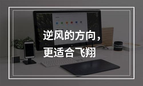 逆风的方向，更适合飞翔