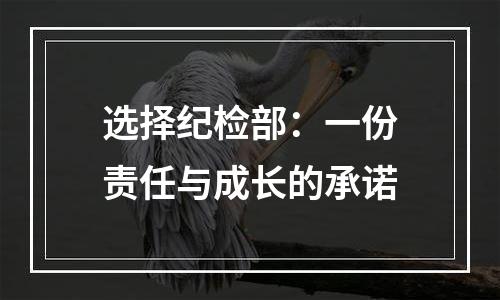 选择纪检部：一份责任与成长的承诺