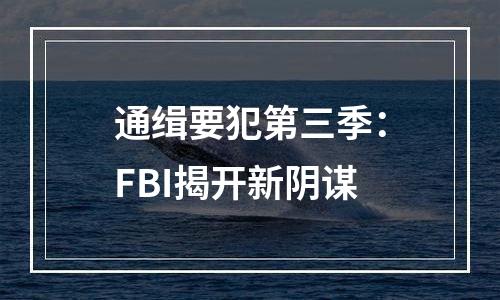 通缉要犯第三季：FBI揭开新阴谋