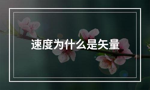 速度为什么是矢量