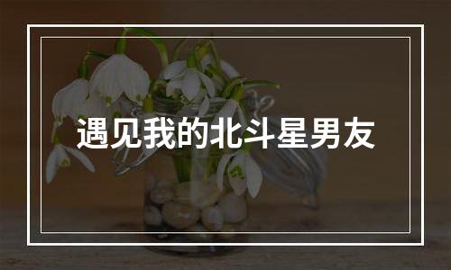 遇见我的北斗星男友