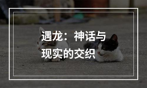 遇龙：神话与现实的交织