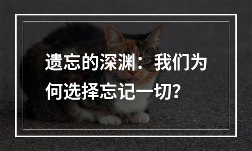遗忘的深渊：我们为何选择忘记一切？