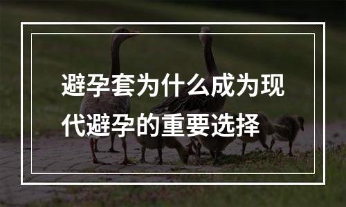 避孕套为什么成为现代避孕的重要选择