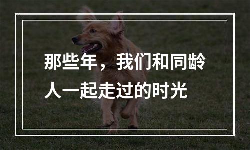 那些年，我们和同龄人一起走过的时光