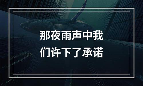 那夜雨声中我们许下了承诺