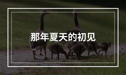 那年夏天的初见