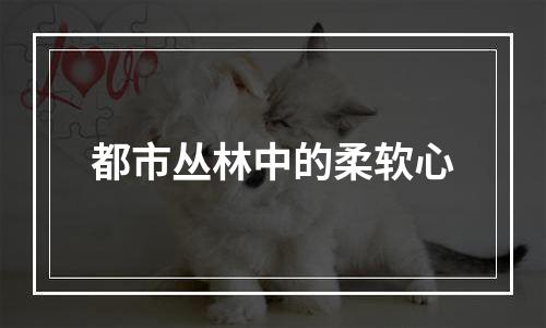 都市丛林中的柔软心