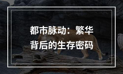 都市脉动：繁华背后的生存密码