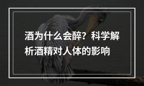 酒为什么会醉？科学解析酒精对人体的影响