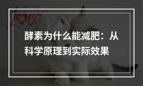 酵素为什么能减肥：从科学原理到实际效果