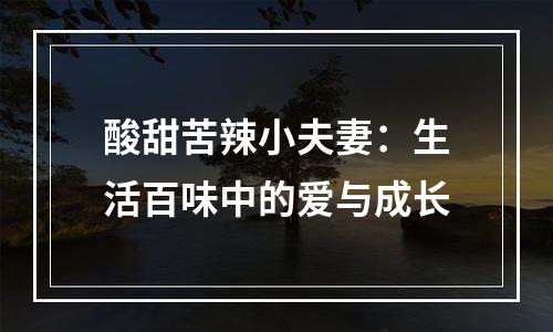 酸甜苦辣小夫妻：生活百味中的爱与成长