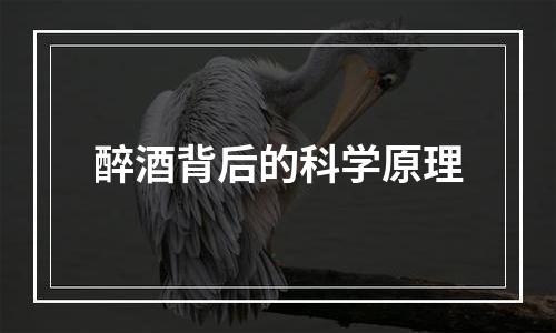 醉酒背后的科学原理