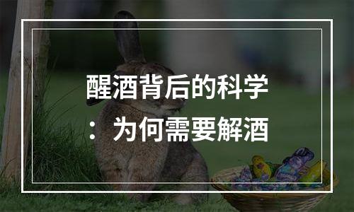 醒酒背后的科学：为何需要解酒