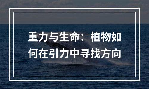 重力与生命：植物如何在引力中寻找方向