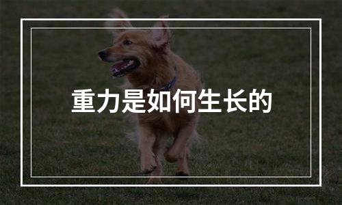 重力是如何生长的