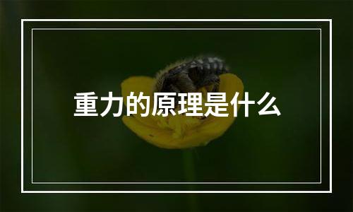 重力的原理是什么